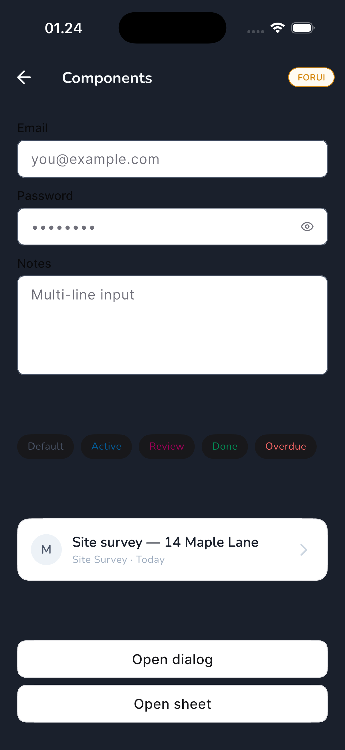 forui playground dark