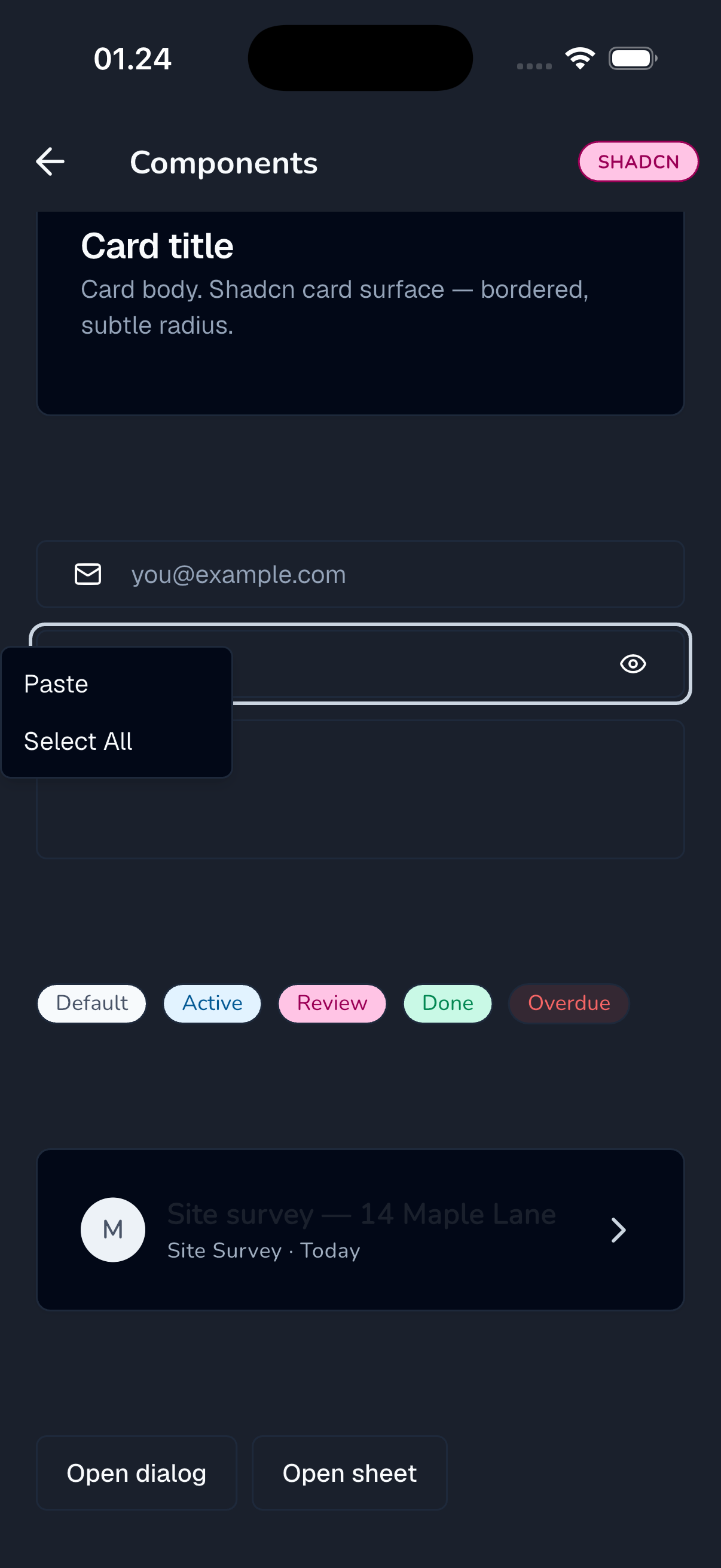 shadcn_ui playground dark